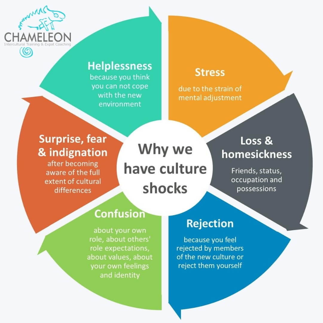 Culture Shock Study