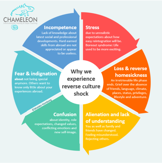 The 4 Stages of Reentry | Chameleon Intercultural Training & Expat Coaching